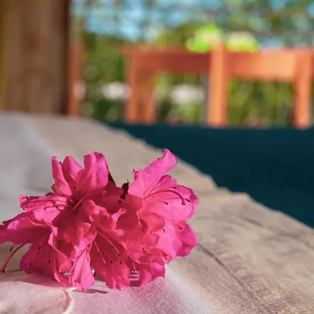 בית הארחה Le Ranocchie Di Maddalena